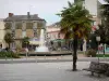 Les Sables-d'Olonne - Banc, palmier en premier plan, place avec une fontaine et des rosiers (roses), et maisons du centre ville