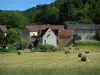 Saint-Amand-de-Coly - Casas de aldeia, botas de palha num campo e árvores, em Black Perigord