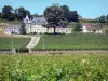 Saint-Émilion - Fonplegade kasteel omgeven door wijngaarden, wijnmakerij Saint-Émilion in de Bordeaux wijngaard