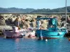 Schiereiland van Giens - Kleurrijke vissersboten in de haven van Niel