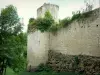 Schloss Coudray-Salbart - Überreste der Festung umgeben von Grün; auf der Gemeinde Echiré