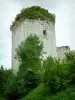 Schloss Coudray-Salbart - Turm der Festung; auf der Gemeinde Echiré