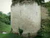 Schloss Coudray-Salbart - Turm der Festung; auf der Gemeinde Echiré