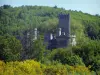 Schloß Montbrun - Bergfried und Türme der Festung, Bäume und blühender Ginster, im Regionalen Naturpark Périgord-Limousin
