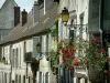 Senlis - Tourism, holidays & weekends guide in the Oise
