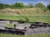 Sito archeologico di Argentomagus