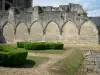 Soissons - Ex Abbazia di Saint-Jean-des-Vignes: giardino del chiostro