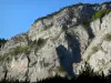 Souloise gorge - Rock faces (cliffs); in Dévoluy
