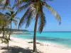 Stranden van Guadeloupe