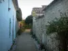 Talmont-sur-Gironde - Gasse des Dorfes umgeben von Pflanzen, Sträuchern und von Häusern