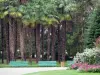 Tarbes - Garten Massey (englischer Park): Palmen, Blumenbeet und Bänke