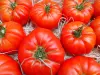 La tomate de Marmande - Guide gastronomie, vacances & week-end dans le Lot-et-Garonne