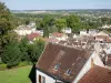Tonnerre - Vista sui tetti della città vecchia e sul verde paesaggio circostante dalla terrazza della chiesa di Saint-Pierre