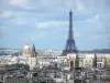 Torre Eiffel - Con vista su Parigi e la Torre Eiffel dalla Cattedrale di Notre Dame torri