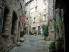 Tourrettes-sur-Loup - Alley e le sue pittoresche case in pietra, piante