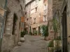 Tourrettes-sur-Loup - Viale alberato fiancheggiato da belle case in pietra e piante verdi