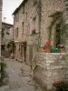 Tourrettes-sur-Loup - Strada stretta con una casa di pietra, un gatto e fiori