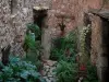 Tourrettes-sur-Loup - Case di pietra decorate con piante verdi