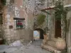 Tourrettes-sur-Loup - Alley, con le sue pittoresche case in pietra, fiori, piante e portico adorabile