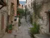 Tourrettes-sur-Loup - Strada stretta fiancheggiata da case e scale in pietra, piante e vasi di fiori