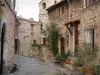 Tourrettes-sur-Loup - Alley decorato con case in pietra, una piccola scala, lampade, piante e vasi di fiori