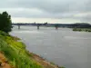 Val de Loire - Rive avec des fleurs sauvages, pont enjambant le fleuve (la Loire) et ciel nuageux