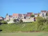 Vézelay - Case affacciate sui vigneti