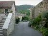Le Villard - Häuser und Befestigungsmauern des Dorfes