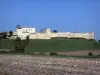 Villebois-Lavalette - Schloß und seine Ringmauer versehen mit Türmen überragend die Weiden und Felder