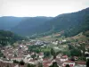 Guide of the Vosges - Tourism, holidays & weekends in the Vosges