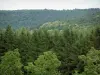 Vosges du Nord - Arbres et forêt en arrière-plan (Parc Naturel Régional des Vosges du Nord)