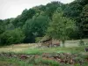 Vosges du Nord - Fleurs sauvages (coquelicots), herbage, petite maison et arbres (Parc Naturel Régional des Vosges du Nord)