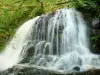 Wasserfälle Murel