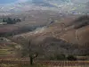 Weinanbaugebiet Beaujolais
