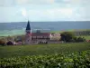 Wijnstreek van de Champagne - Sacy dorp met zijn kerk en huizen, wijngaarden van de Montagne de Reims (Champagne-wijngaard, in het Regionaal Natuurpark van de Montagne de Reims), en het bos bomen