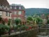 Wissembourg - Rio (La Lauter), aterro de floração, casas da cidade velha e floresta ao fundo