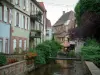 Wissembourg - Rivière (la Lauter) bordée d'arbres et de maisons