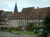 Wissembourg - Parc fleuri, maisons anciennes et clocher
