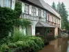 Wissembourg - Plantas e casas com fachadas coloridas na beira do rio (la Lauter)