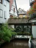 Wissembourg - Maisons à colombages ornées de fleurs (géraniums) et rivière (la Lauter)