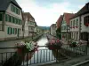 Wissembourg - Pont fleuri et rivière (la Lauter) bordée de maisons