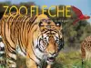 Billet coupe-file Zoo de la Flèche - Activité - Vacances & week-end à La Flèche