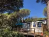 Camping de Parpaillon - Camping - Vacances & week-end à Roquebrune-sur-Argens
