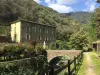 La ferme du valdeyron - Chambre d'hôtes - Vacances & week-end à Val-d'Aigoual