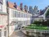 L'Hotel de Panette, Un exceptionnel château en ville - Chambre d'hôtes - Vacances & week-end à Bourges