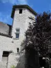 La Tour de Brazalem - Chambre d'hôtes - Vacances & week-end à Nérac