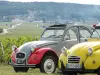 Tour in a Vintage 2CV Car, Cellar Visit & Champagne Tasting – 2 hrs. 30 mins - Activity - Holidays & weekends in Reims