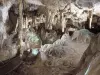 Visite guidée des Grottes de Betharram - Activité - Vacances & week-end à Saint-Pé-de-Bigorre