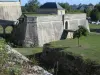 布拉耶城堡的防御工事