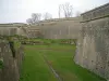 布拉耶城堡的防御工事